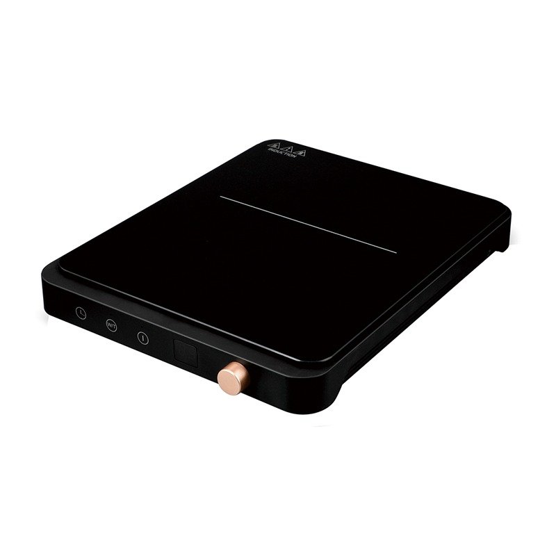 Induction for home DFY-BTC01
